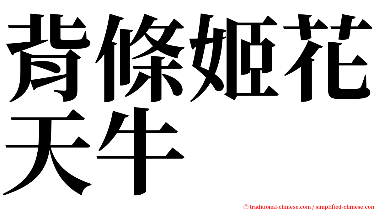 背條姬花天牛 serif font