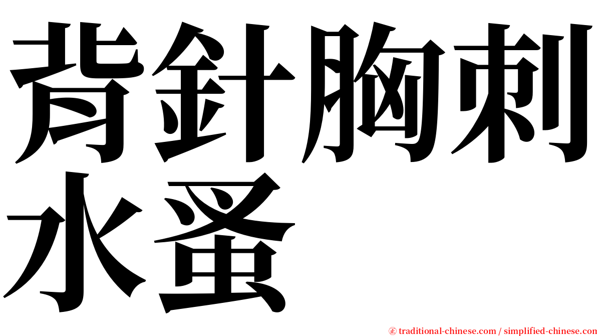 背針胸刺水蚤 serif font