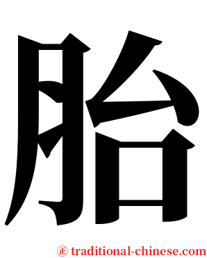 胎 serif font