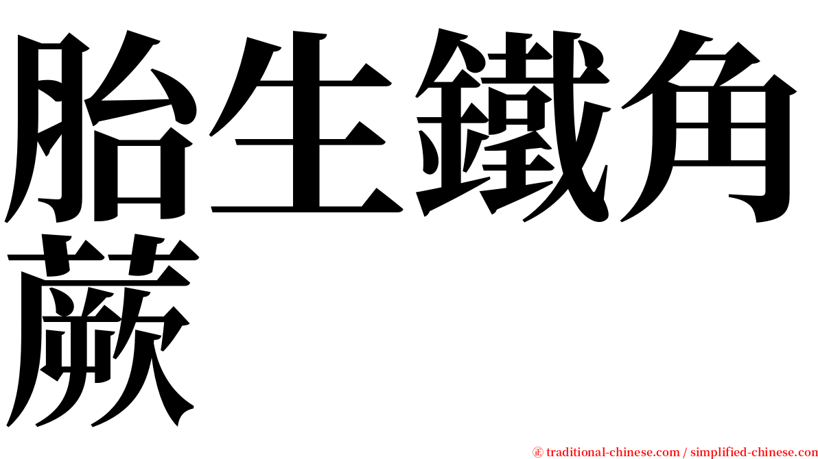 胎生鐵角蕨 serif font