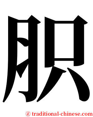 胑 serif font