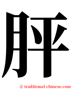 胓 serif font