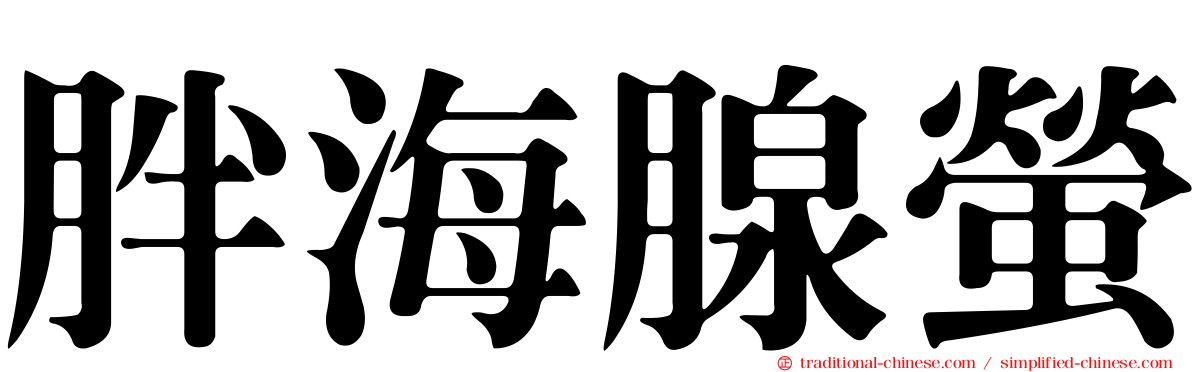 胖海腺螢