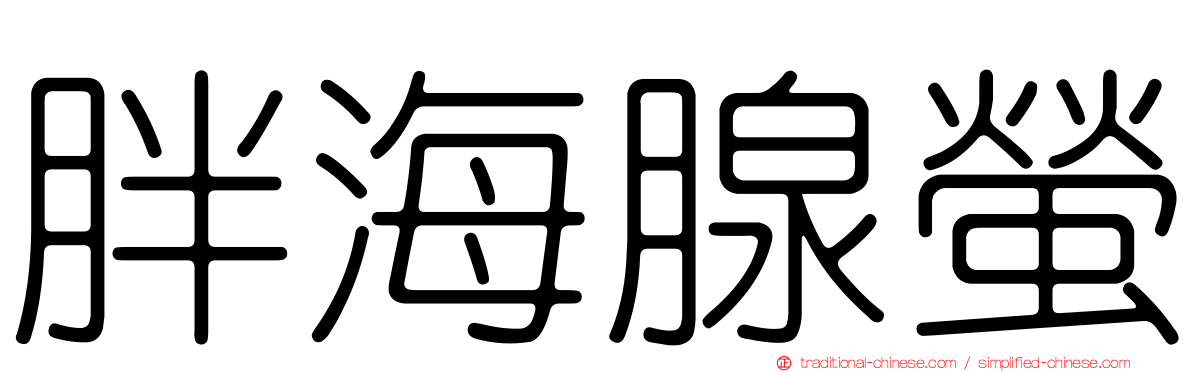 胖海腺螢