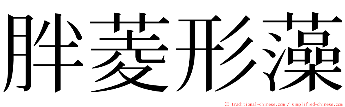 胖菱形藻 ming font