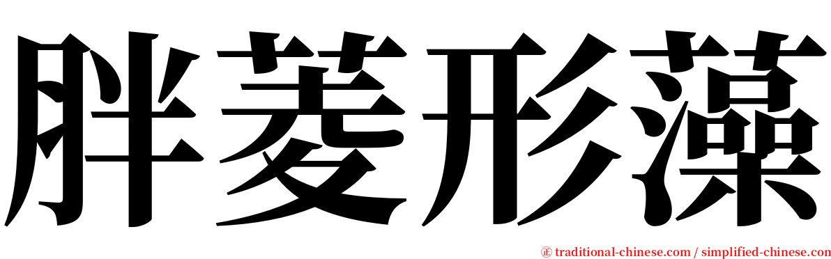 胖菱形藻 serif font