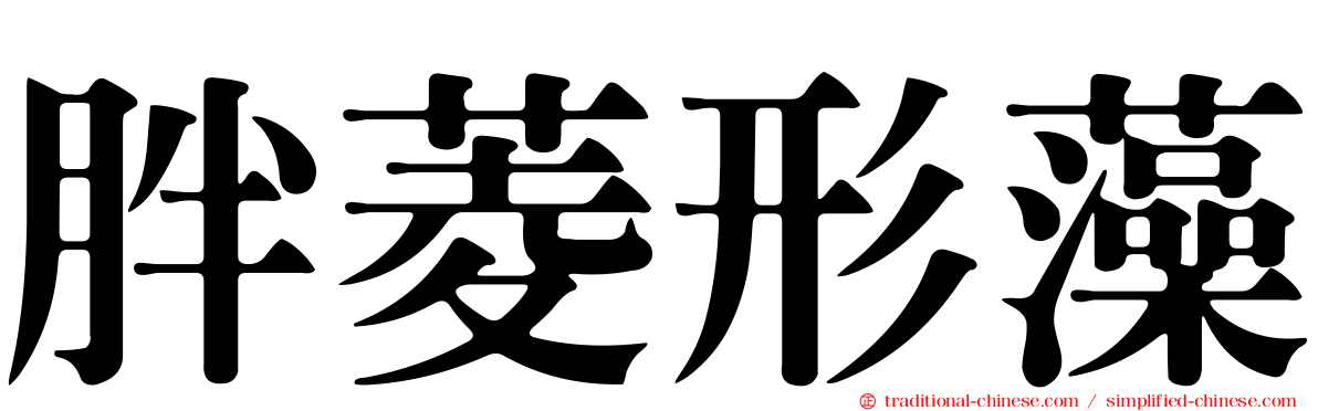 胖菱形藻