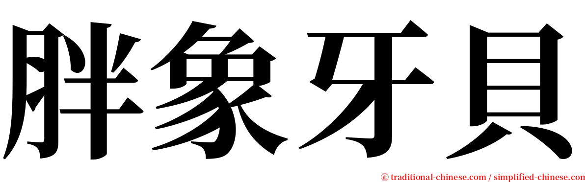 胖象牙貝 serif font