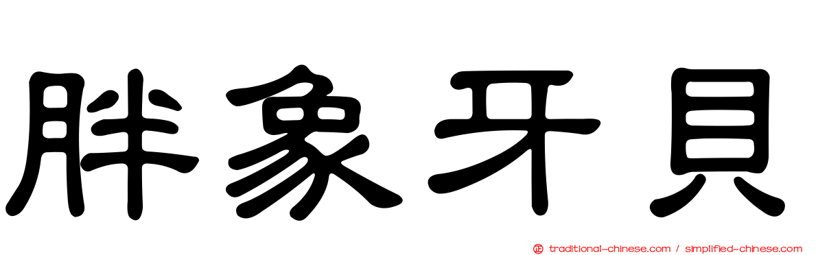 胖象牙貝