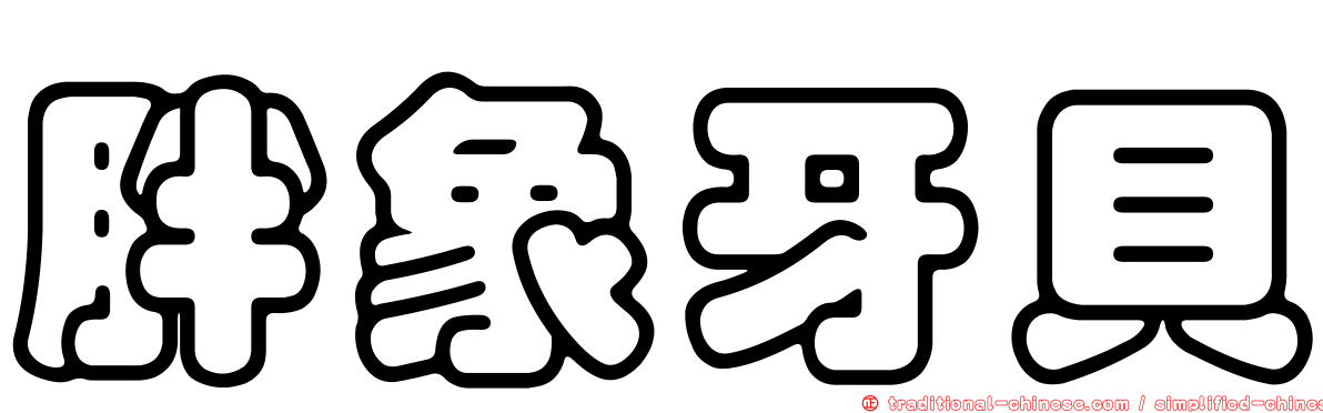 胖象牙貝