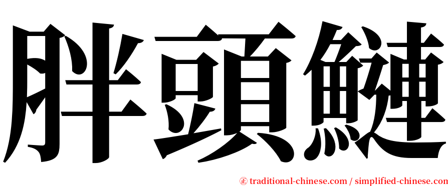 胖頭鰱 serif font