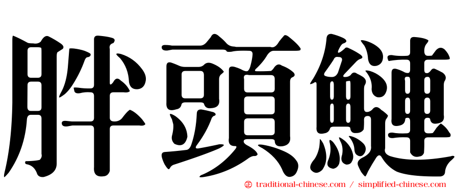 胖頭鰱