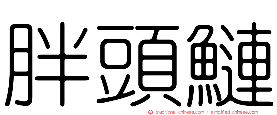 胖頭鰱