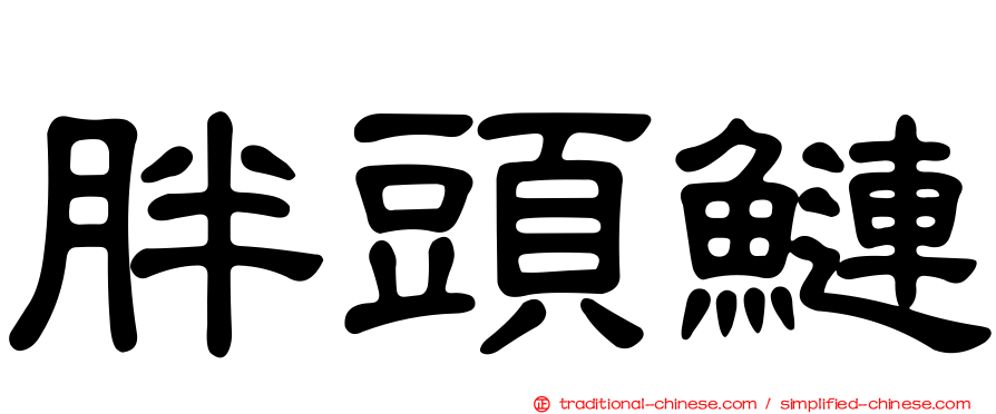 胖頭鰱