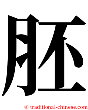 胚 serif font