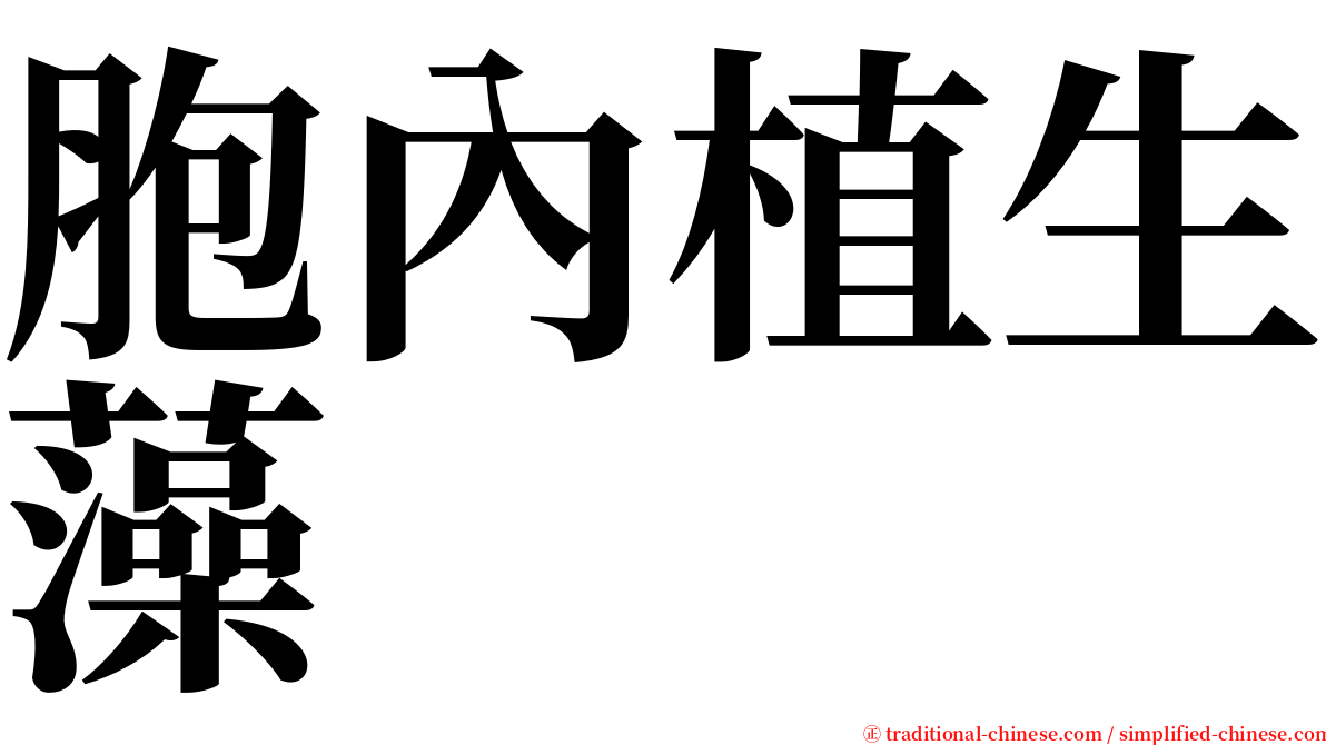 胞內植生藻 serif font