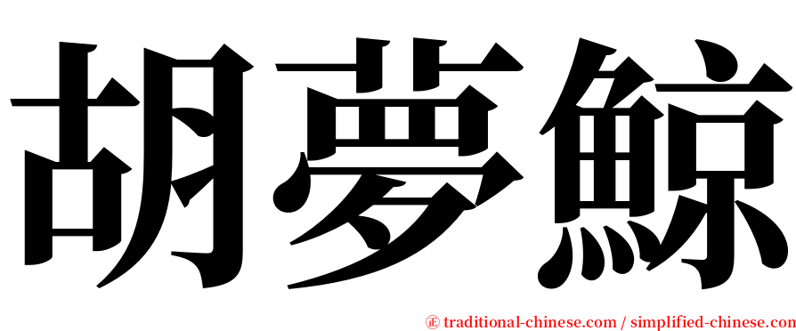 胡夢鯨 serif font