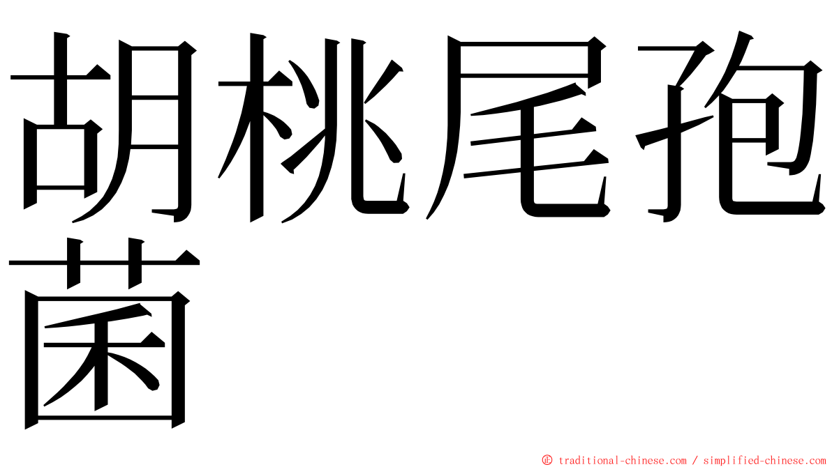 胡桃尾孢菌 ming font