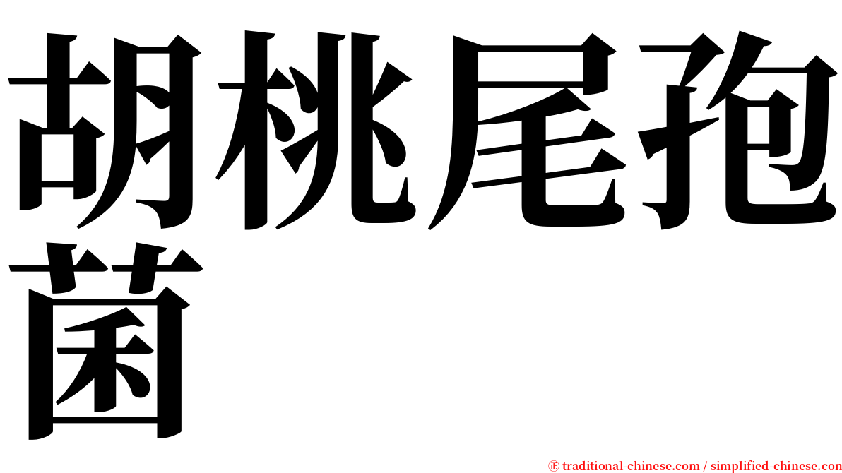 胡桃尾孢菌 serif font