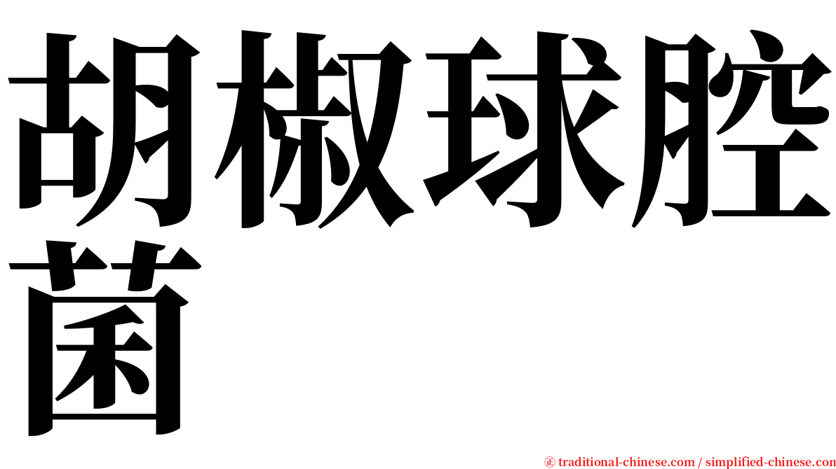 胡椒球腔菌 serif font