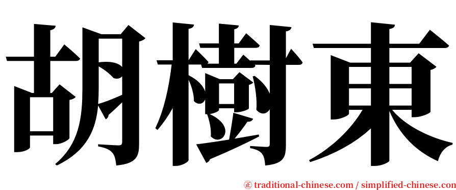 胡樹東 serif font