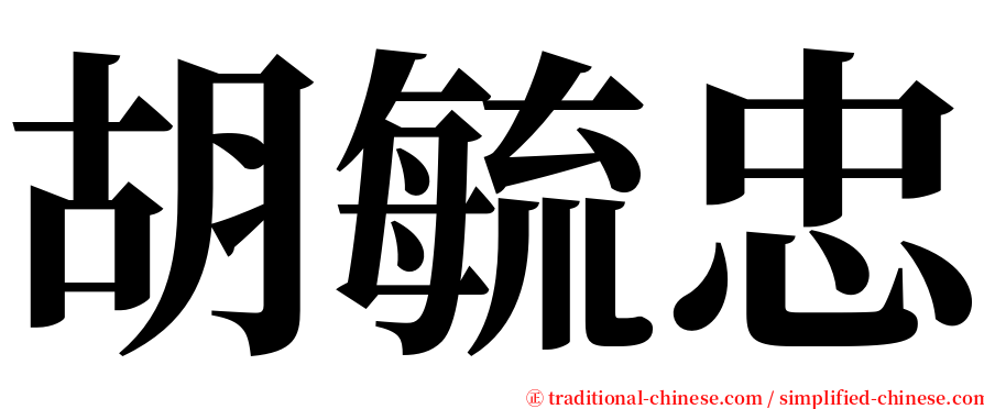 胡毓忠 serif font