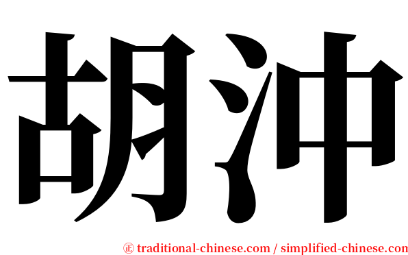 胡沖 serif font