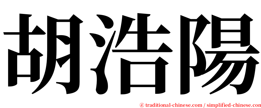 胡浩陽 serif font