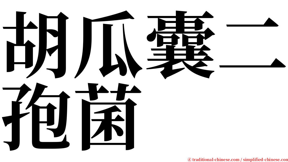 胡瓜囊二孢菌 serif font