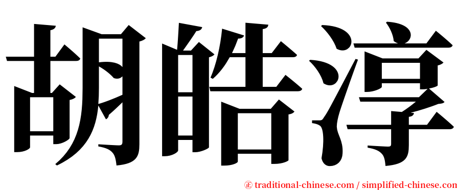 胡皓淳 serif font