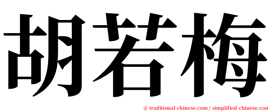 胡若梅 serif font