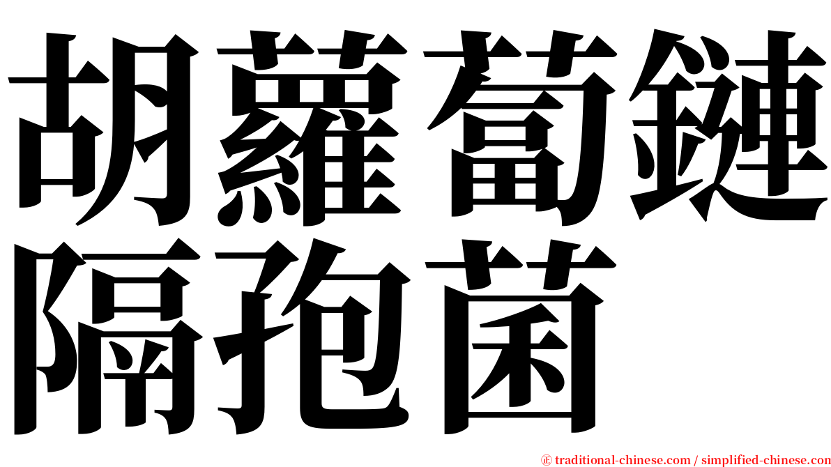 胡蘿蔔鏈隔孢菌 serif font