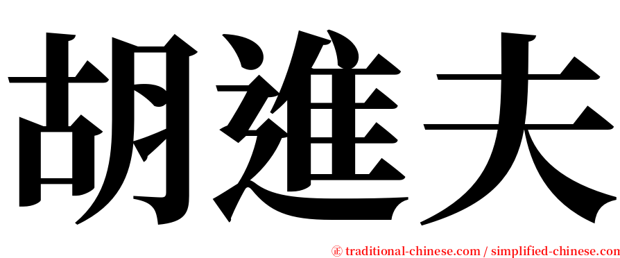胡進夫 serif font