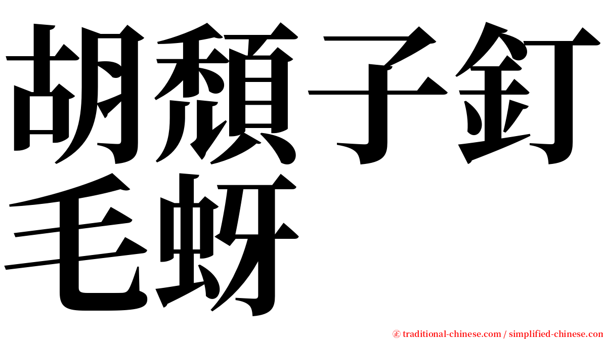 胡頹子釘毛蚜 serif font