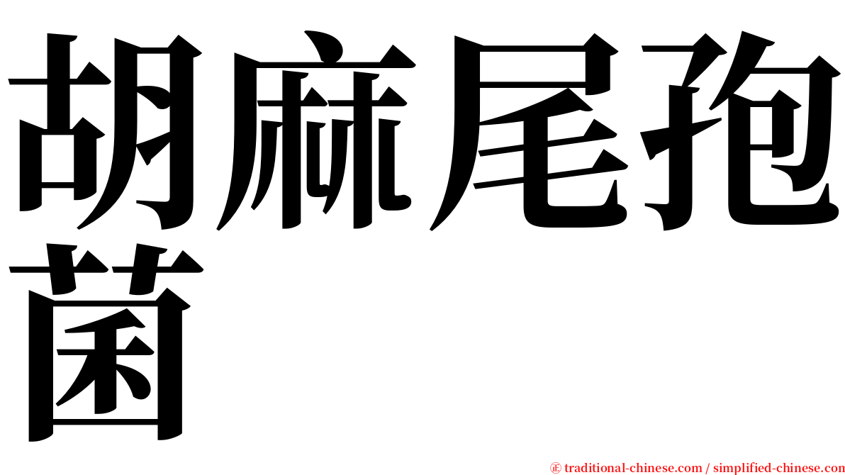 胡麻尾孢菌 serif font