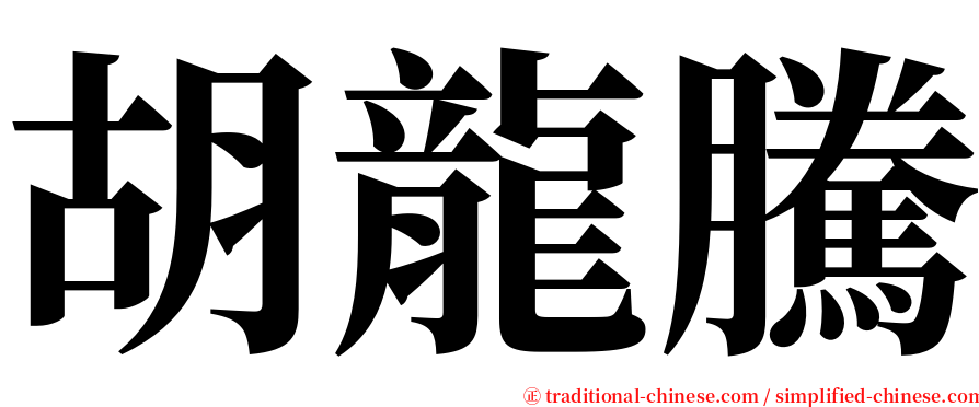 胡龍騰 serif font