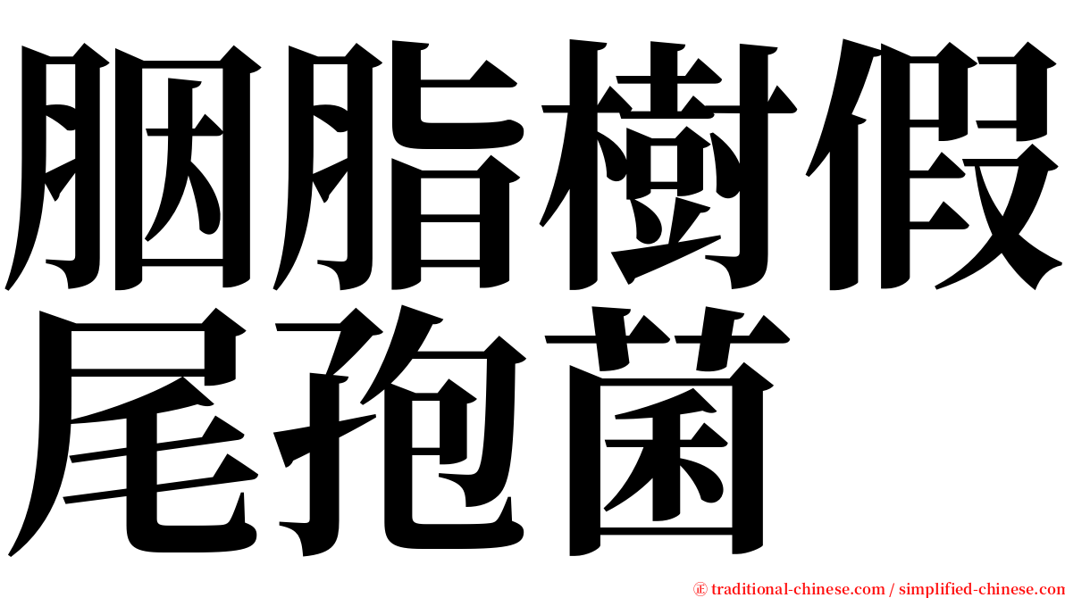 胭脂樹假尾孢菌 serif font