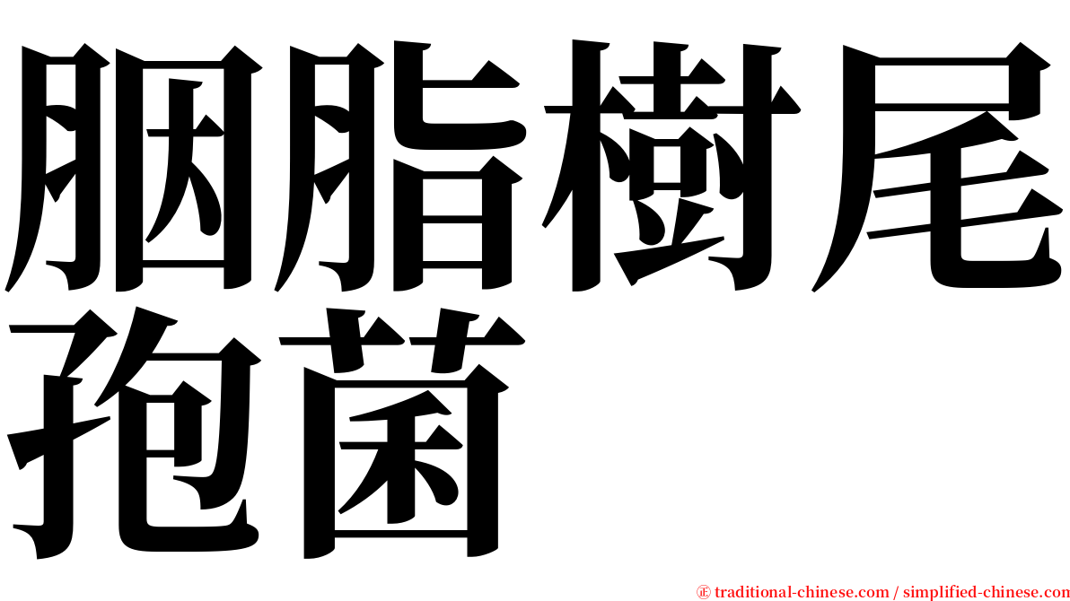 胭脂樹尾孢菌 serif font