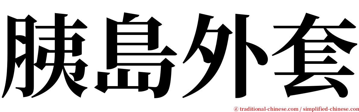 胰島外套 serif font