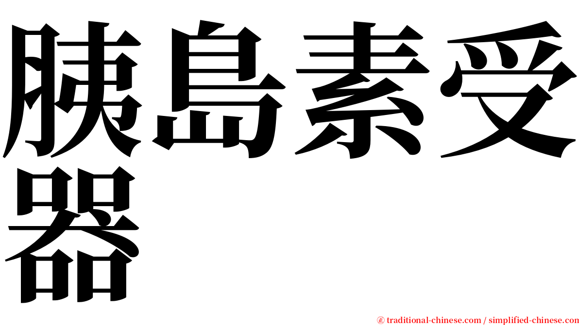 胰島素受器 serif font