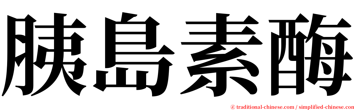 胰島素酶 serif font