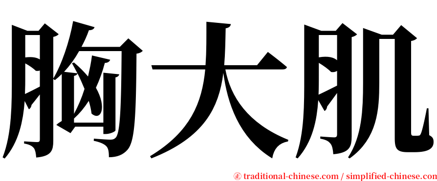 胸大肌 serif font