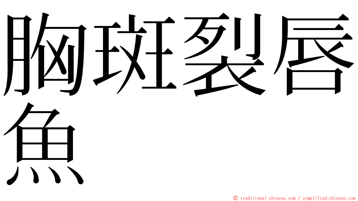 胸斑裂唇魚 ming font