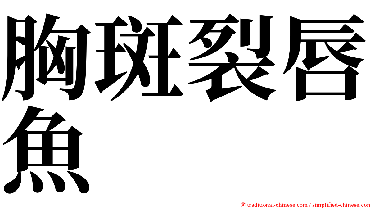 胸斑裂唇魚 serif font