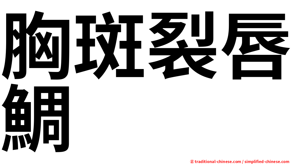 胸斑裂唇鯛
