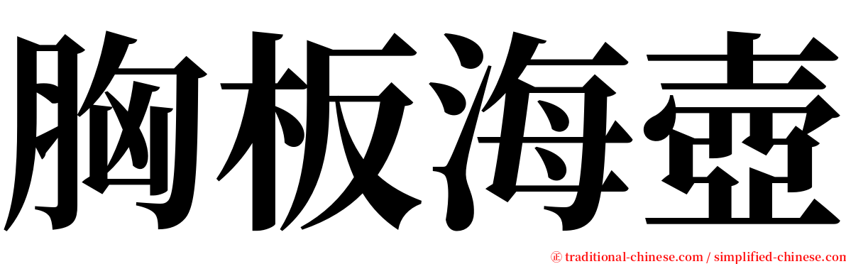 胸板海壺 serif font