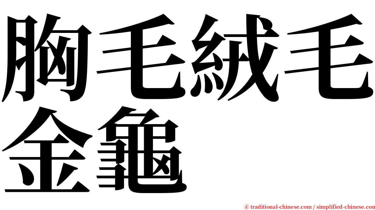 胸毛絨毛金龜 serif font