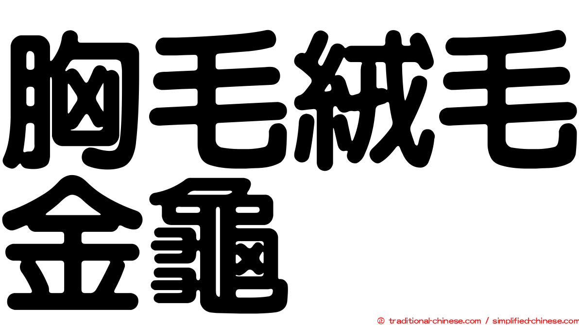 胸毛絨毛金龜
