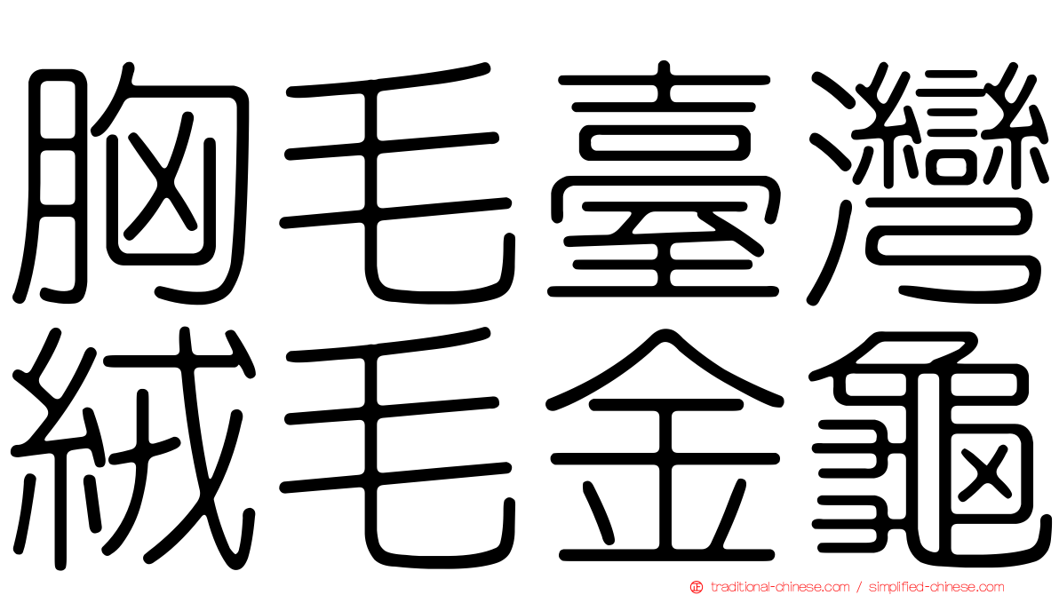 胸毛臺灣絨毛金龜