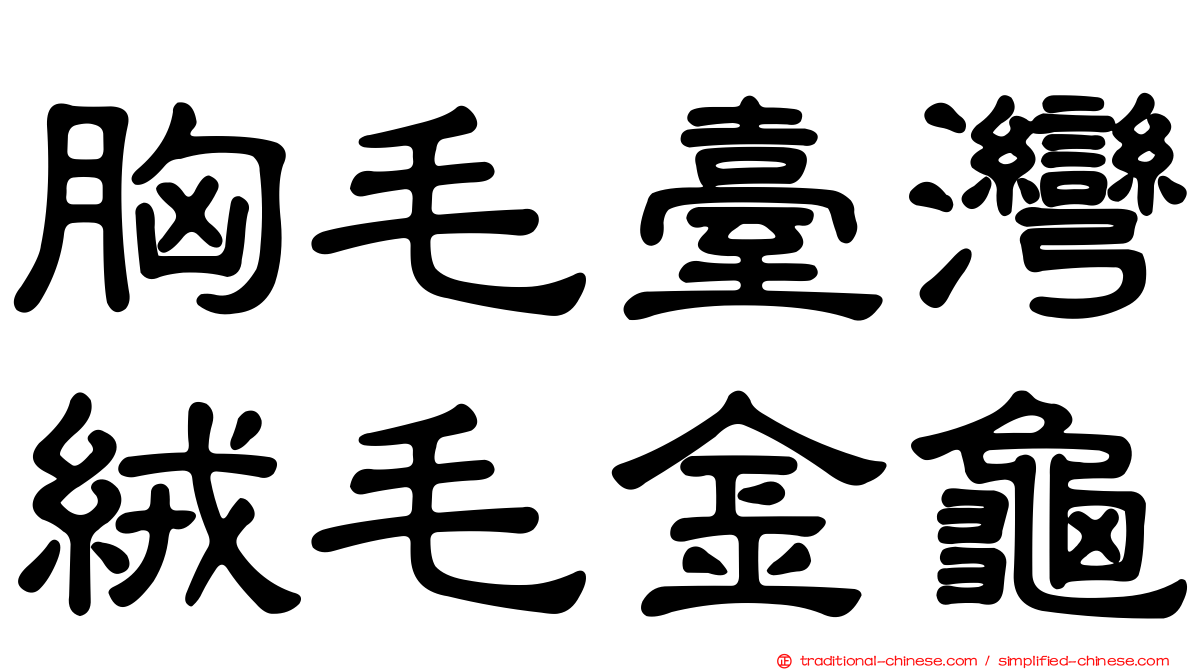 胸毛臺灣絨毛金龜